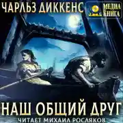Постер книги Наш общий друг. Полное издание. Книги 1, 2, 3, 4
