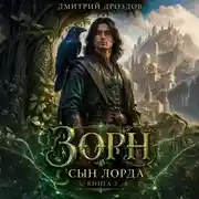 Постер книги Зорн. Сын лорда. Книга 3