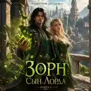 Постер книги Зорн. Сын лорда. Книга 2