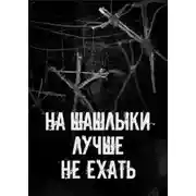 Постер книги На шашлыки лучше не ехать!