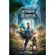 Постер книги Системный целитель 3