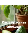 Иван Андреев - Как вырастить авокадо