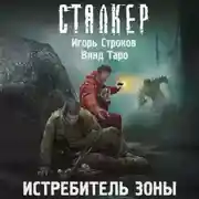 Постер книги Истребитель Зоны