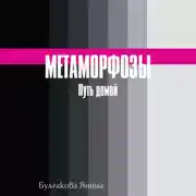 Постер книги Метаморфозы. Путь домой