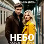 Постер книги Небо сквозь жалюзи