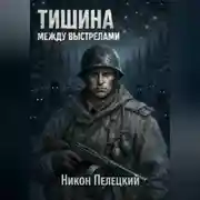 Постер книги Тишина между выстрелами