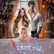 Постер книги (С)нежное чудо