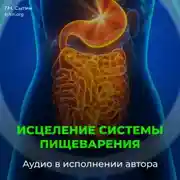 Постер книги Система пищеварения