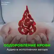 Постер книги Божественное оздоровление крови и кроветворения