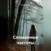 Постер книги Сломанные частоты