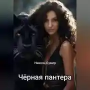 Постер книги Черная пантера
