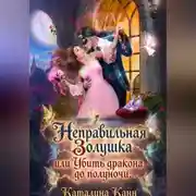 Постер книги Неправильная Золушка, или Убить дракона до полуночи