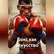 Постер книги Бокс как искусство
