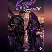 Постер книги К тебе на полной скорости
