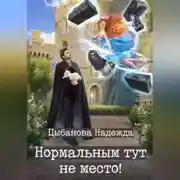 Постер книги Нормальным тут не место!