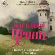 Постер книги Мой темный принц