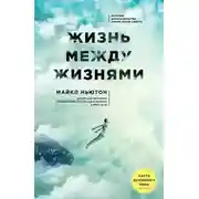Постер книги Жизнь между жизнями