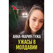 Постер книги Последняя поездка домой