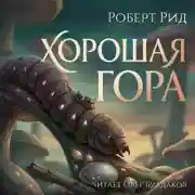 Постер книги Хорошая гора