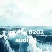 Постер книги im – fy 8202 audio 1