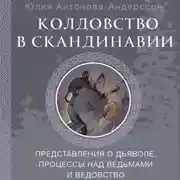 Постер книги Колдовство в Скандинавии. Представления о дьяволе, процессы над ведьмами и ведовство