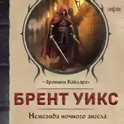 Постер книги Немезида ночного ангела