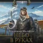 Постер книги Небо в руках
