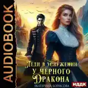 Постер книги Леди в услужении у черного дракона