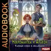Постер книги Некромантка и Дракон. Тайный союз в Академии