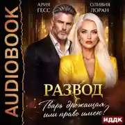 Постер книги Развод. Тварь дрожащая или право имею?