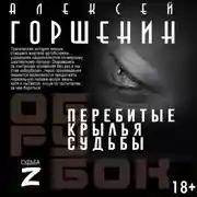 Постер книги Перебитые крылья судьбы