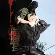 Постер книги Гепард