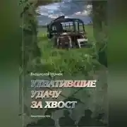 Постер книги Ухватившие Удачу за хвост