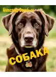 Александр Воробьёв - Собака