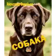 Постер книги Собака