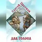 Постер книги Два голоса