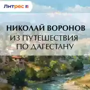 Постер книги Из путешествия по Дагестану