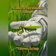 Постер книги Хроника Бесконечного Космоса: Сопутствующий ущерб