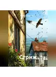 Ильгиз Гиматова - Стриж