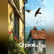 Постер книги Стриж