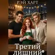 Постер книги Третий лишний