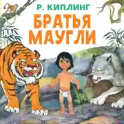 Постер книги Братья Маугли