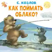 Постер книги Как поймать облако