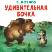 Постер книги Удивительная бочка