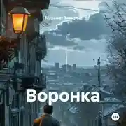 Постер книги Воронка