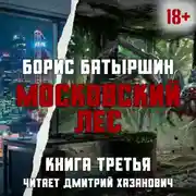 Постер книги Московский Лес. Забытые в небе