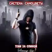 Постер книги Система-Самоцветы: Тени за спиной