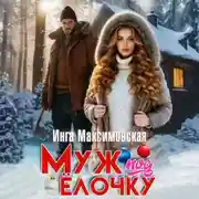 Постер книги Муж под елочку