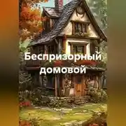 Постер книги Беспризорный домовой
