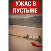 Постер книги Исчезновение в пустыне